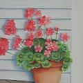 Front Porch Geraniums